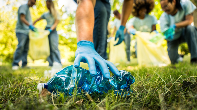 Group picking up litter in forest