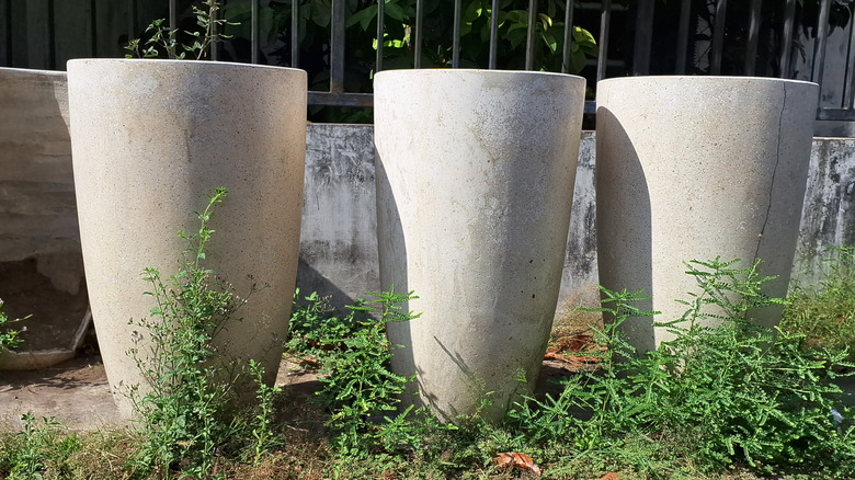 Tall white plant pots in a garden