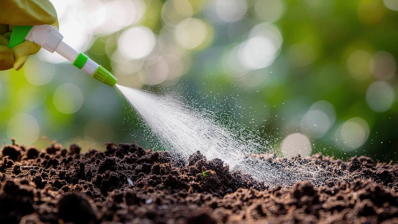 Spraying herbicide on fallow soil