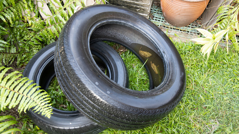 Old tires that have collected rainwater
