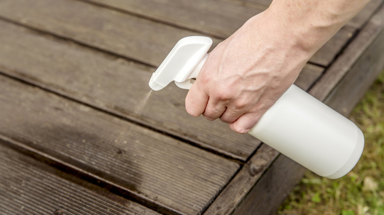 A homeowner spraying decking with homemade insect repellent