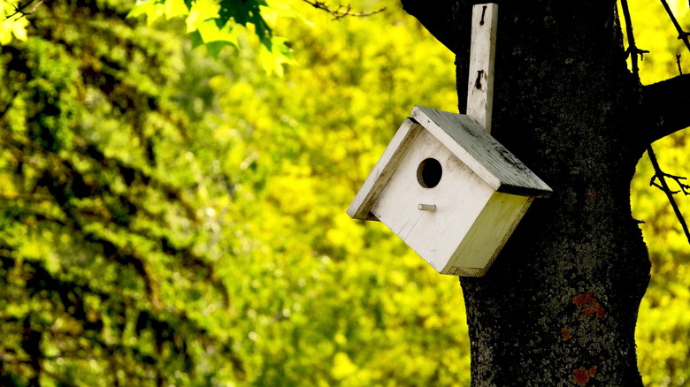 White diamond-shaped birdhouse on a tree