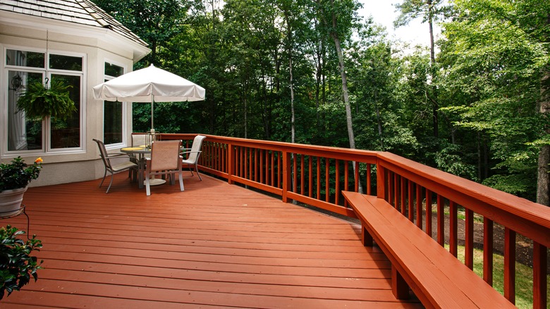 A large wooden deck surrounded by forest