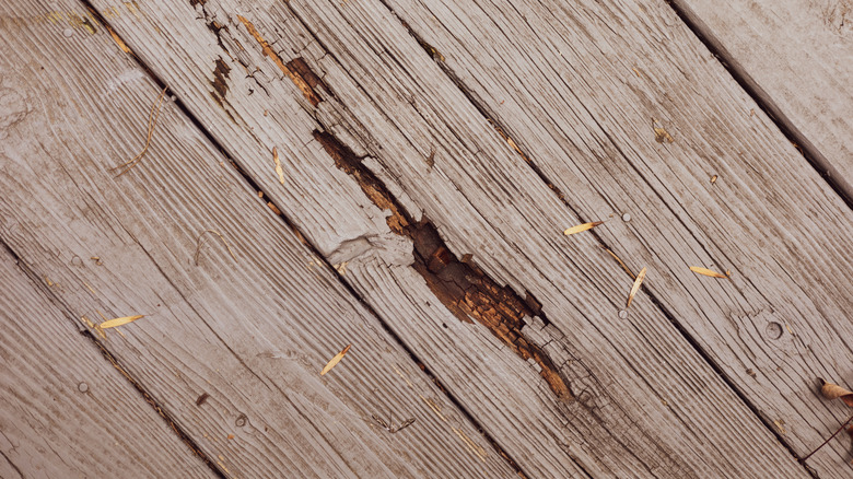 A decking board with extensive rot damage