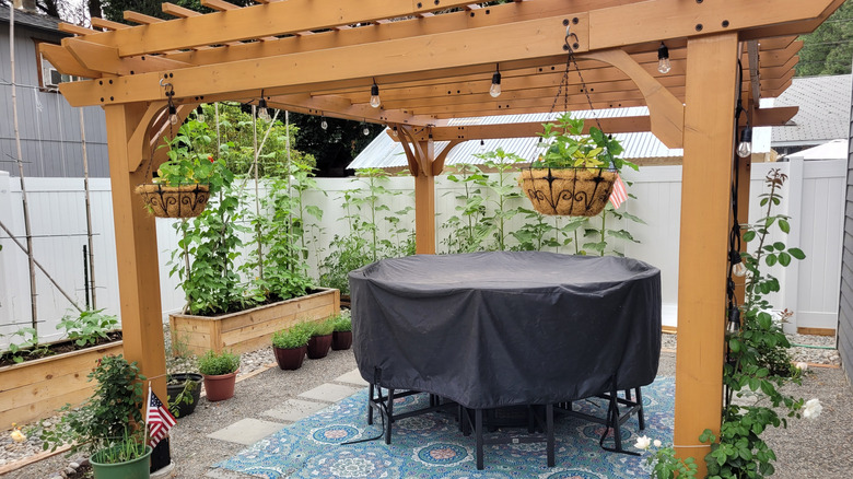 Small backyard wooden pergola