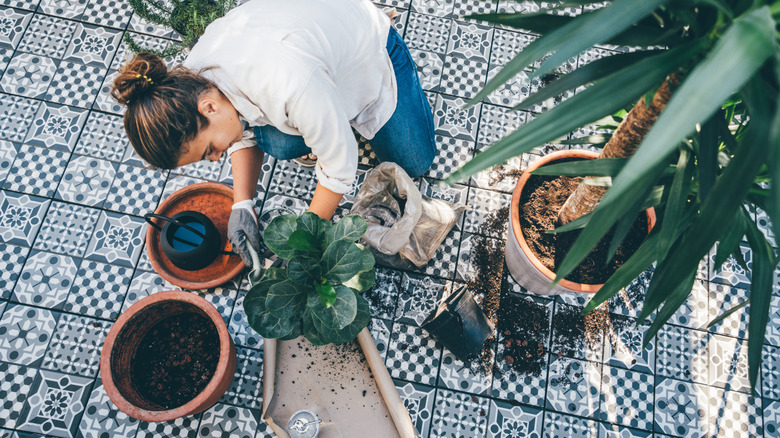 Woman potting plants on her patio