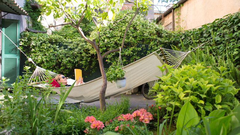 Person reading in a hammock in a small backyard