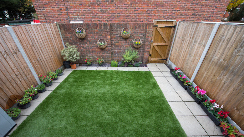 View of narrow, unfinished backyard