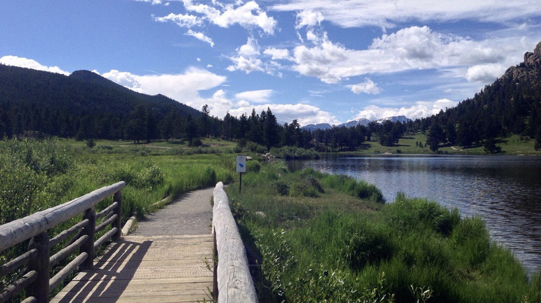 A small wooden bridge along the Lily Lake Loop, overlooking the scenic forest views