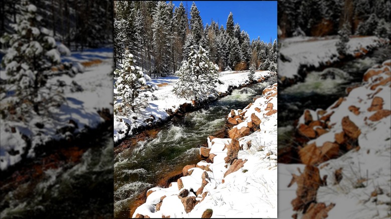 A flowing creek cuts through the snow-covered path on Rainbow Gulch