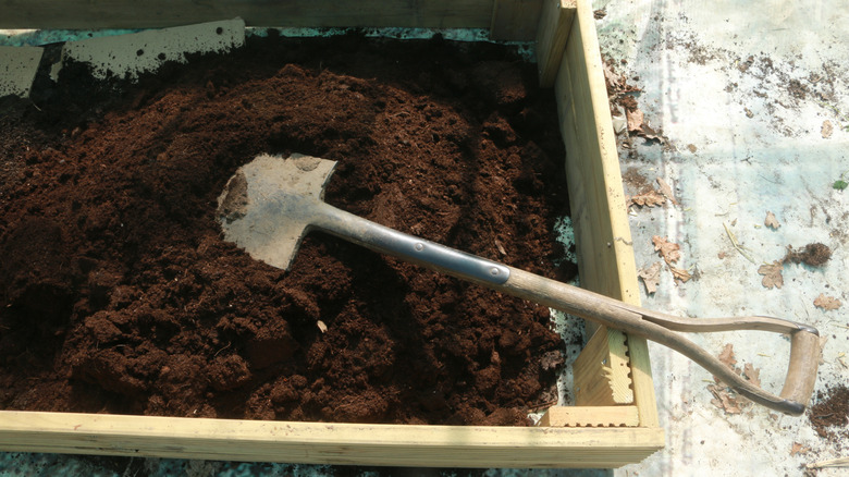 A raised garden bed lined at the bottom with cardboard, and starting to pile soil on top with shovel