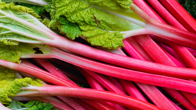 Fresh rhubarb sticks