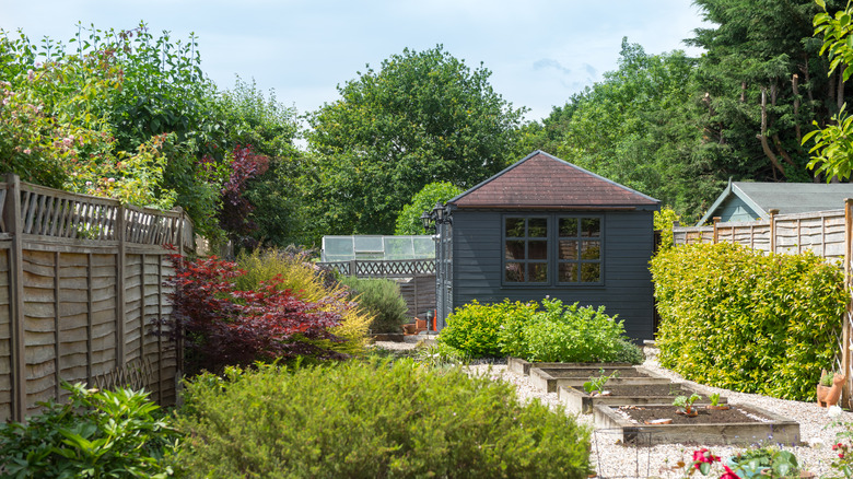 Shed in landscaped backyard