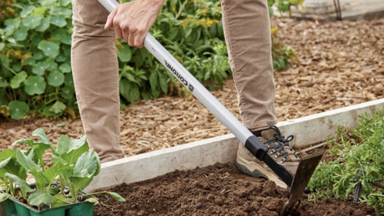 A man digging in soil with a cultivator tool.
