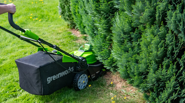 Mowing with Greenworks lawn mower