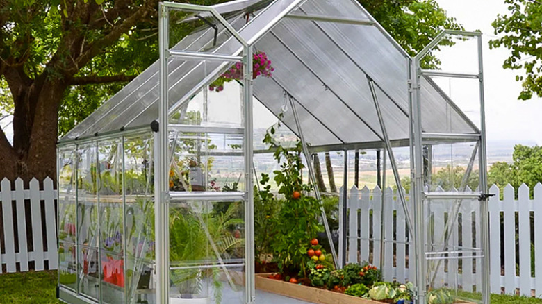 Palmram Canopia Balance 8-foot series greenhouse