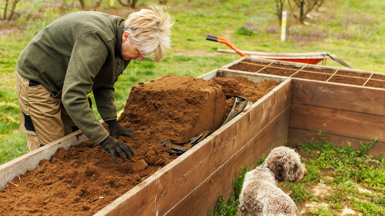 A gardener preparing a raised bed for planting