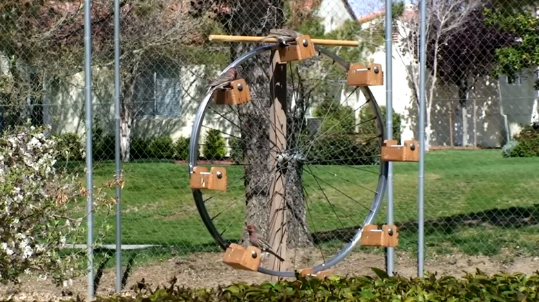 A birdfeeder made from a bicycle tire and wood hanging on a fence.