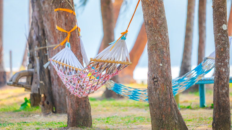 Two hammocks suspended from backyard trees