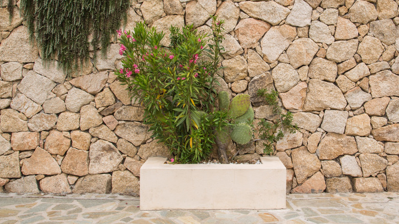 Mediterranean style garden planter