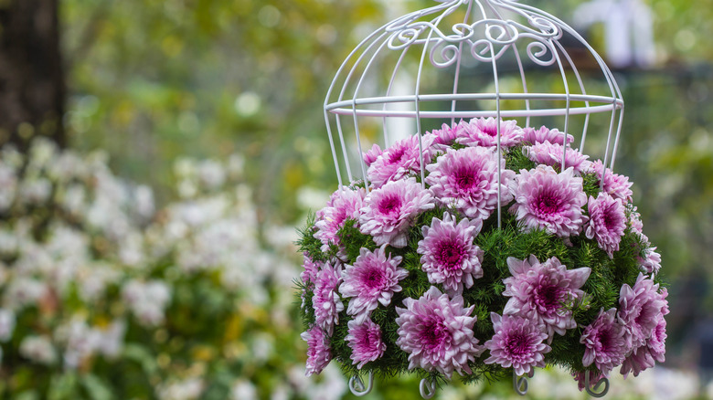 Purple flowers in a white cage-style planter.