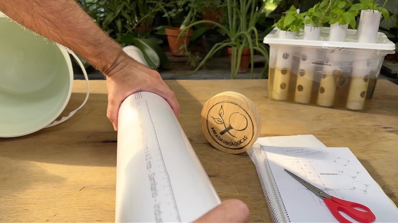 DIY a hydroponic growing system