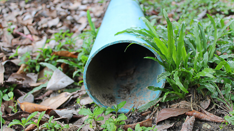 blue pipe on the ground