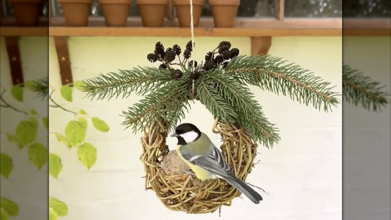 Homemade hanging grapevine bird feeder