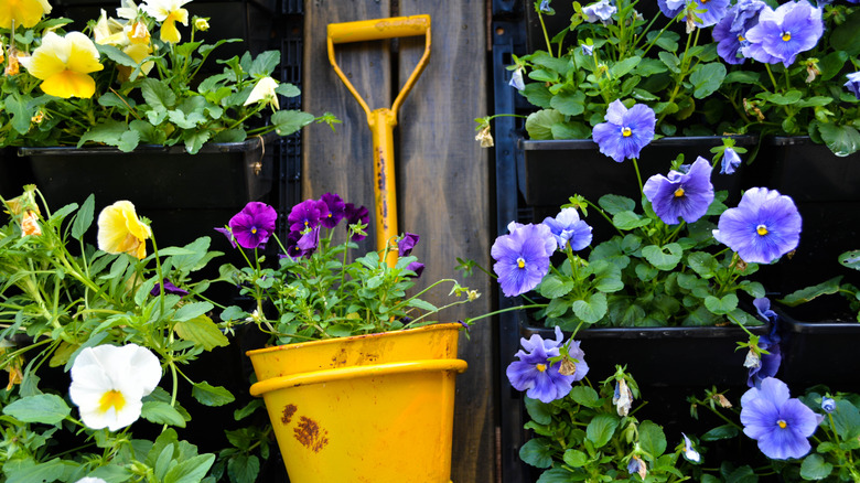 repurposed shovel planter with flowers
