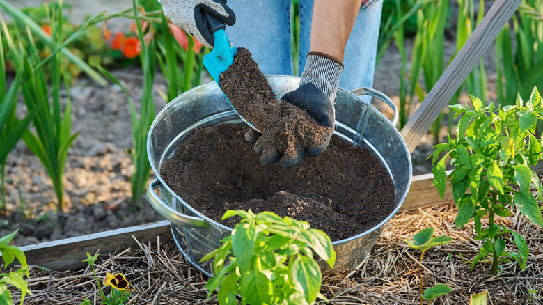 A gardener mixing fertilizer before applying it to topsoil