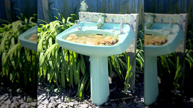 Example of birdbath made from old pedestal sink