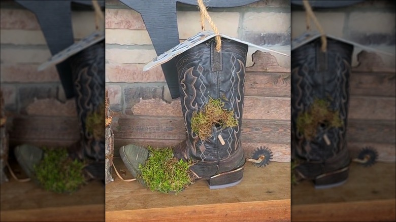 A birdhouse crafted from an old boot, covered in moss