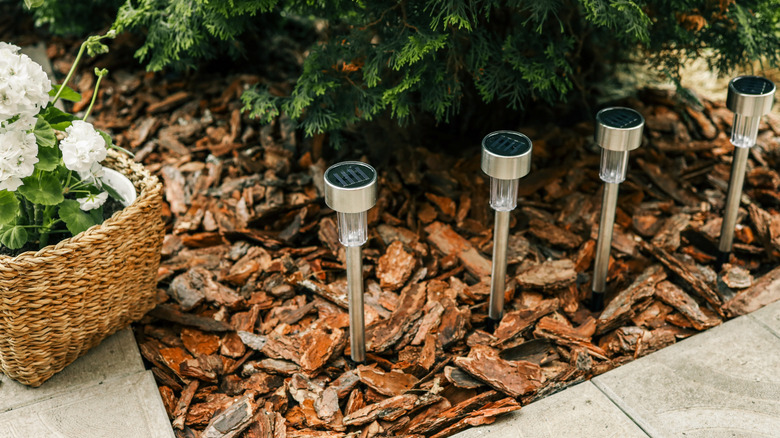 solar lights in bark mulch