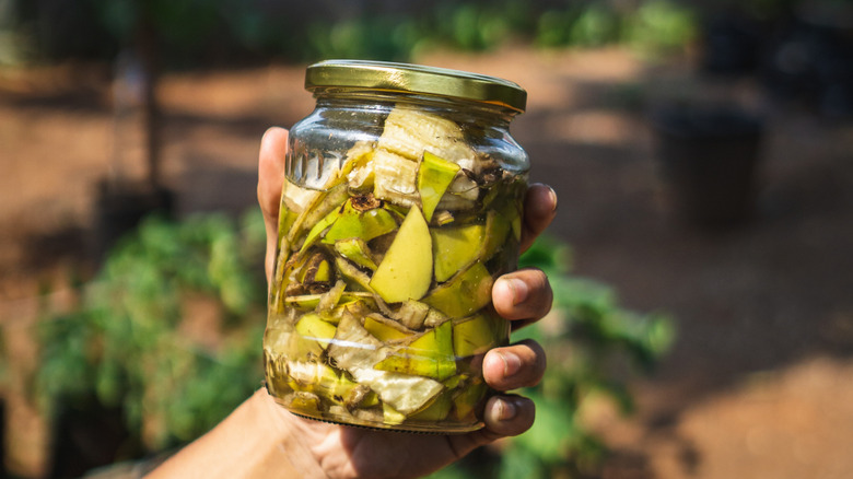 banana peels soaking in a jar