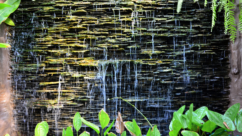 A garden wall cascading with water