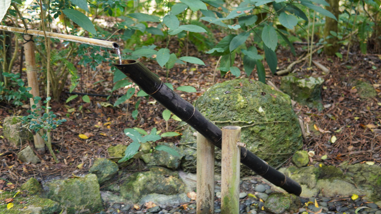 A Japanese shishi-odoshi bamboo fountain