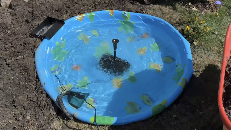 A blue kids' pool being converted into a pond with a submersible fountain