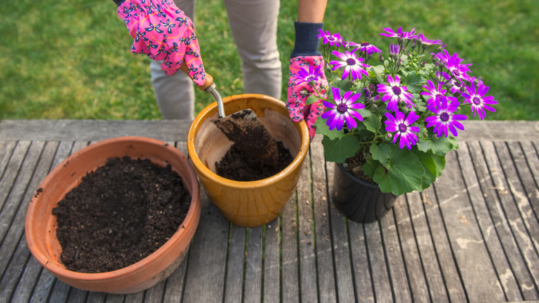 gardening with potting bench