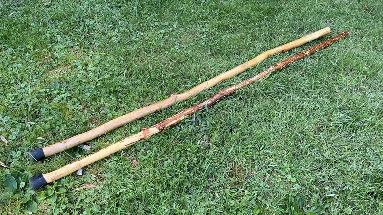 Full view of two hiking sticks in grass
