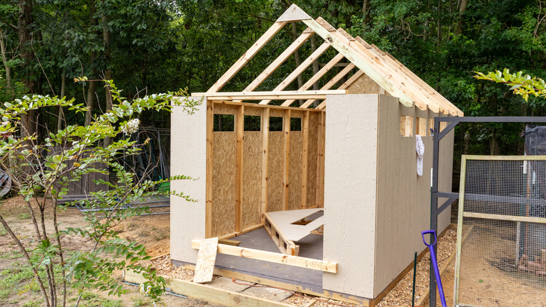 Partially built wooden garden shed