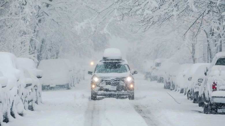 Cars parked on a street, completely covered in snow
