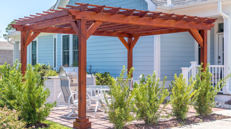 Large pergola filling an entire yard