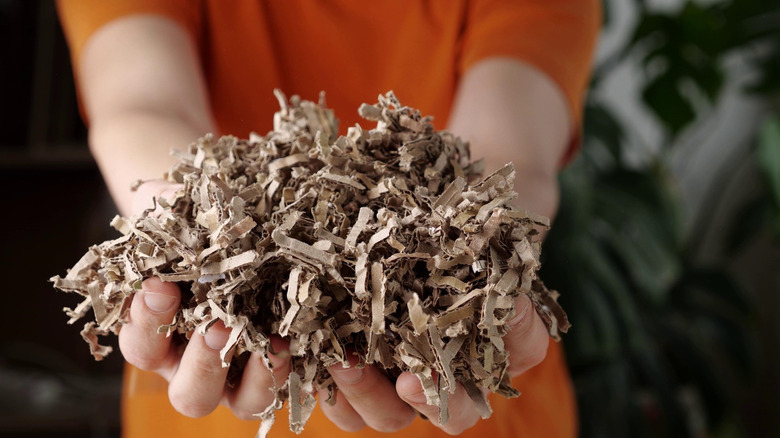 Hands holding shredded cardboard mulch