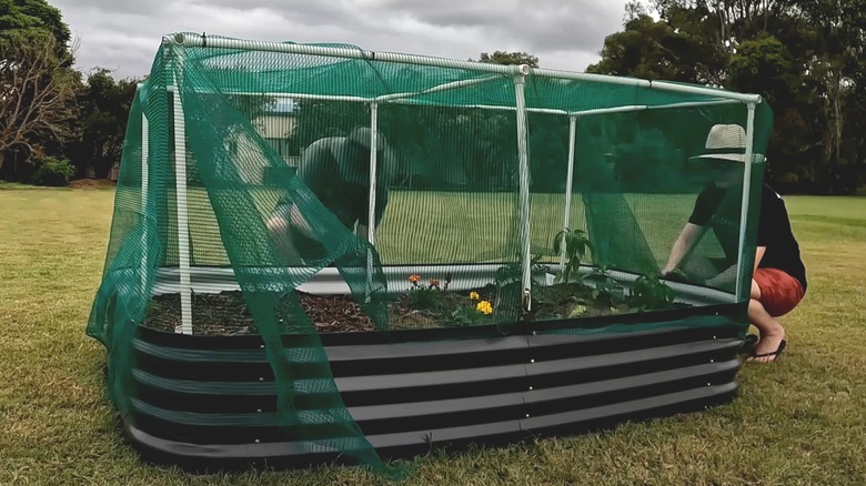 Constructing a shade out of landscaping fabric