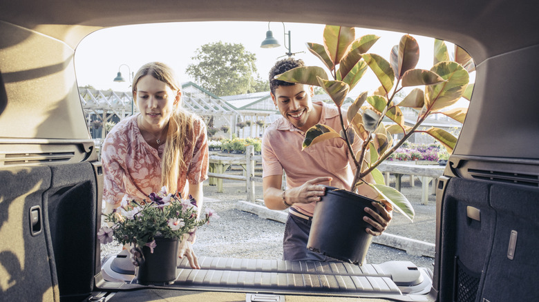 Two people placing new plants in trunk