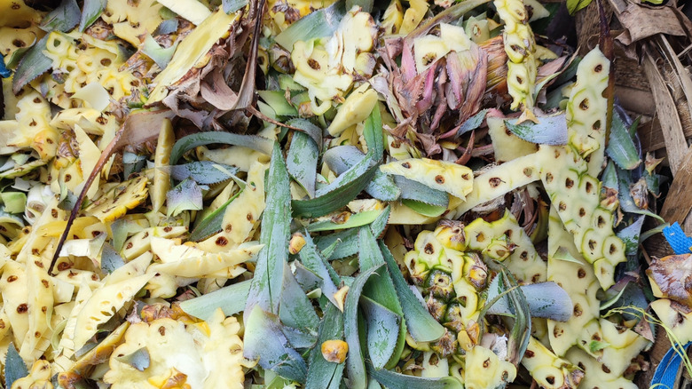 Pineapple leftovers saved for composting