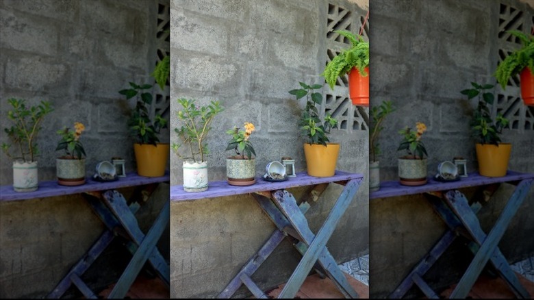 Old wood ironing board converted to potting bench