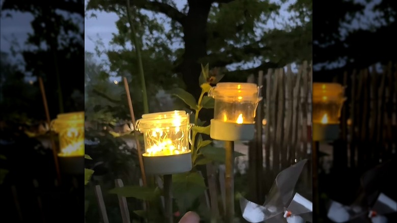 DIY tuna can candleholders at night in backyard