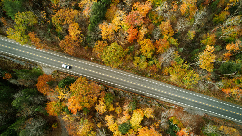 a car drives on a road in fall