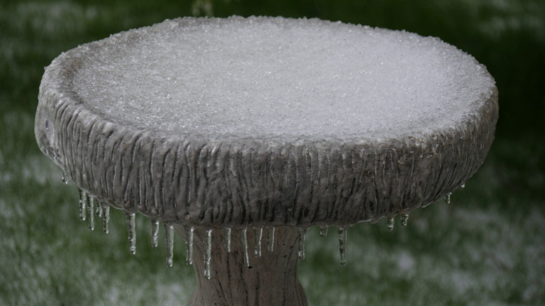 Frozen birdbath